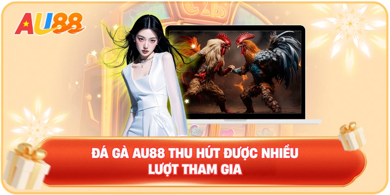 Đá gà AU88 thu hút được nhiều lượt tham gia